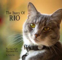 The Story Of Rio book cover