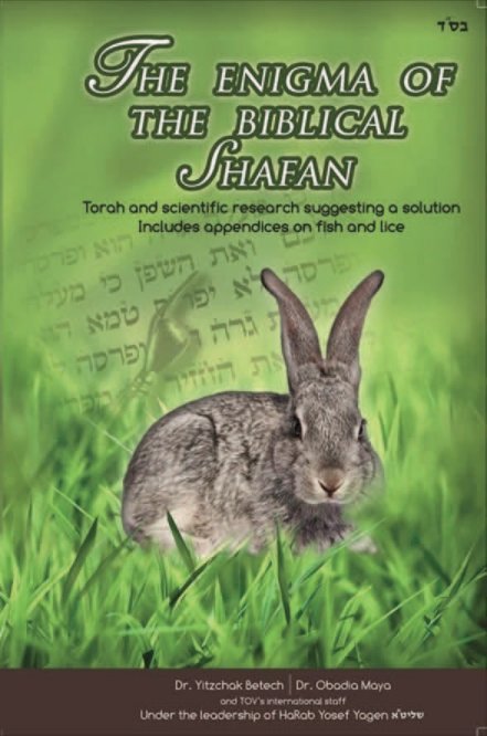 View The Enigma of the Biblical Shafan by Dr. Yitzchak Betech, Dr. Obadia Maya