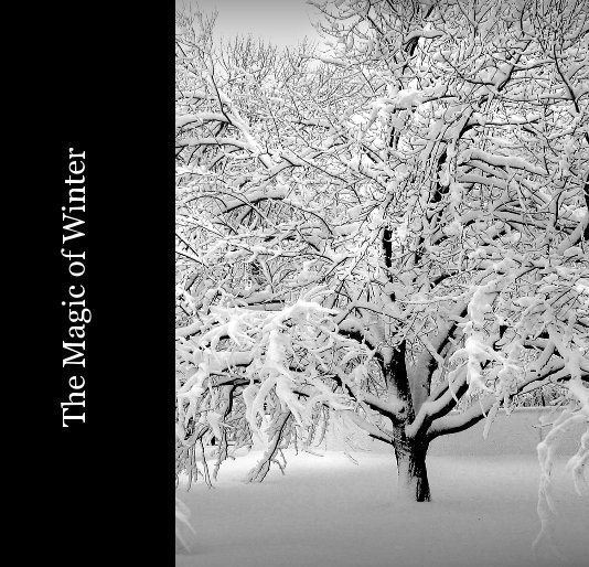 Ver The Magic of Winter por Photography by Carol Lowbeer