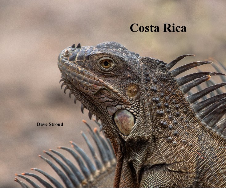 View Costa Rica by Dave Stroud