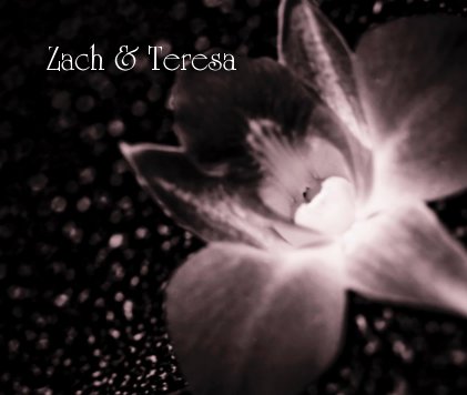 Zach & Teresa book cover