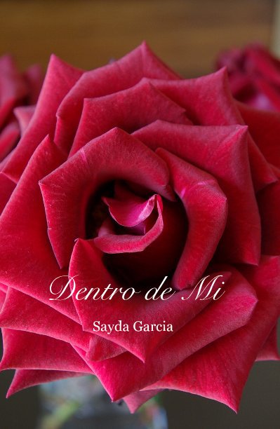 Ver Dentro de Mi por Sayda Garcia