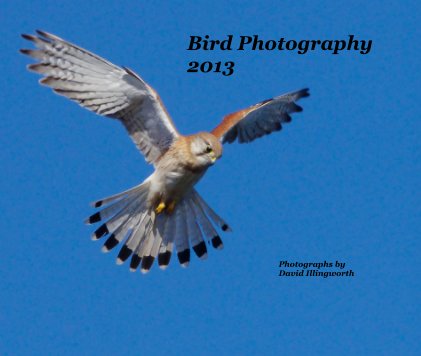 Bird Photography 2013 book cover