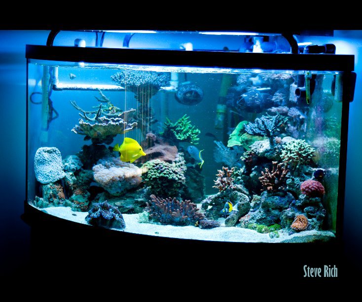 Ver Aquarium por Steve Rich