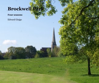 Brockwell Park book cover