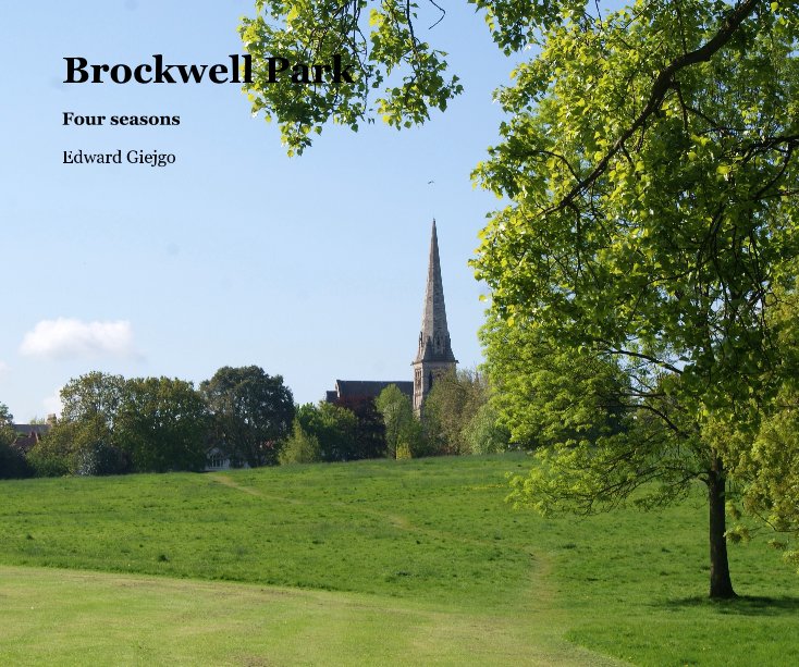 View Brockwell Park by Edward Giejgo
