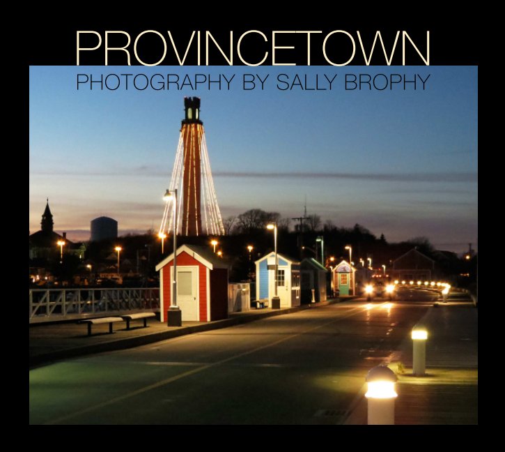View Provincetown by Sally Brophy