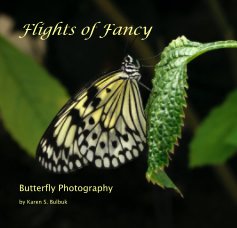 Flights of Fancy book cover