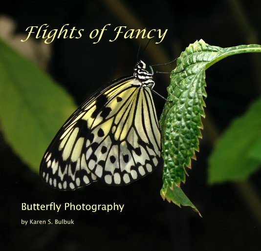 View Flights of Fancy by Karen S. Bulbuk