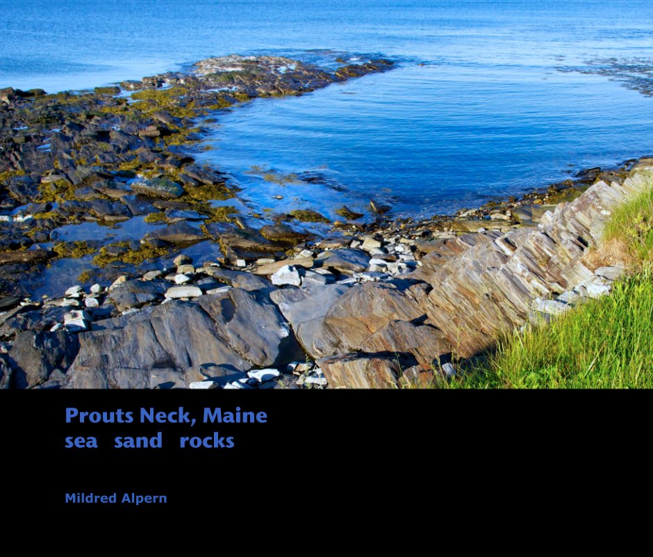 View Prouts Neck, Maine
sea   sand   rocks by Mildred Alpern