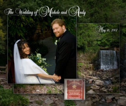 The Wedding of Michele and  Andy book cover