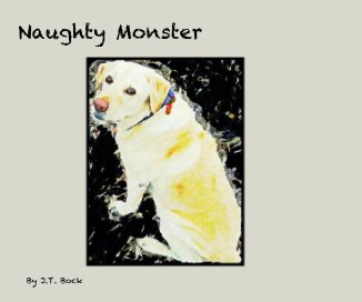 Naughty Monster book cover