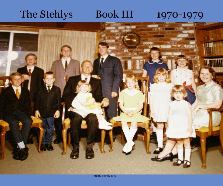 View The Stehlys Book III 1970-1979 by Anne Stehly