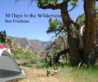 30 Days in the Wilderness book cover