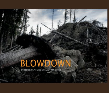 Blowdown 2013 - 13x11 book cover