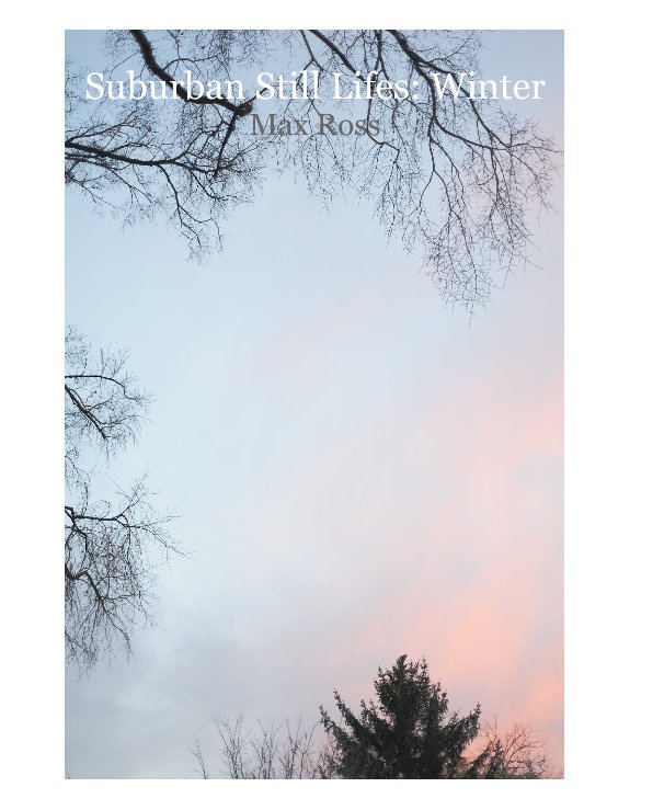 Ver Suburban Still Lifes: Winter por Max Ross