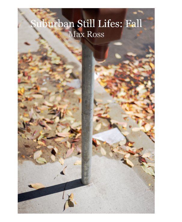 View Suburban Still Lifes: Fall by Max Ross