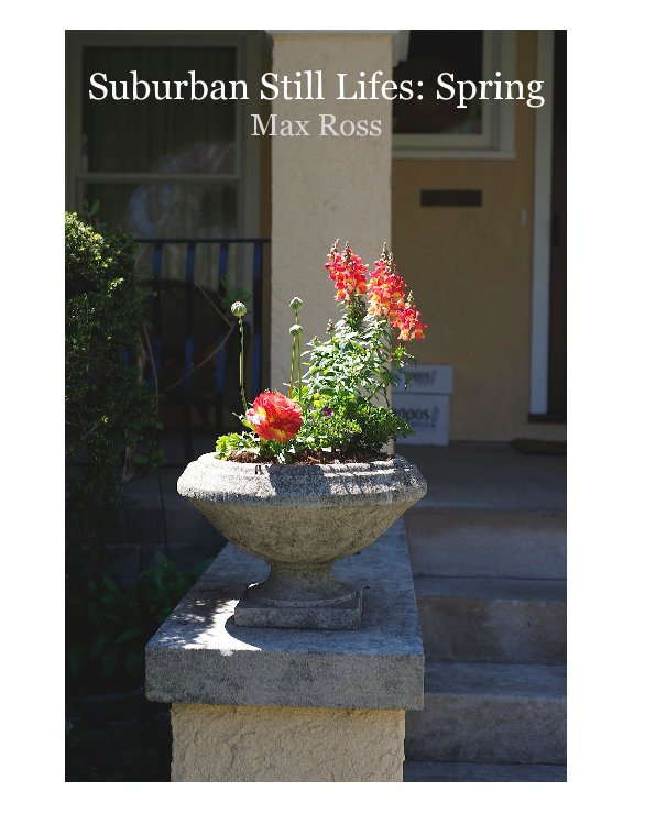 View Suburban Still Lifes: Spring by Max Ross