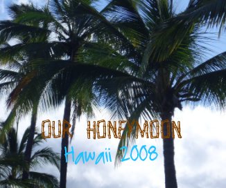 OUR HONEYMOON Hawaii 2008 book cover