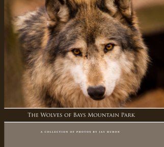 The Wolves of Bays Mountain Park (Second Edition) book cover