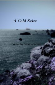 A Cold Seize book cover