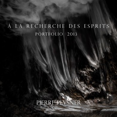 À LA RECHERCHE DES ESPRITS book cover
