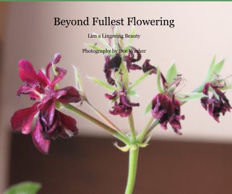 Beyond Fullest Flowering book cover