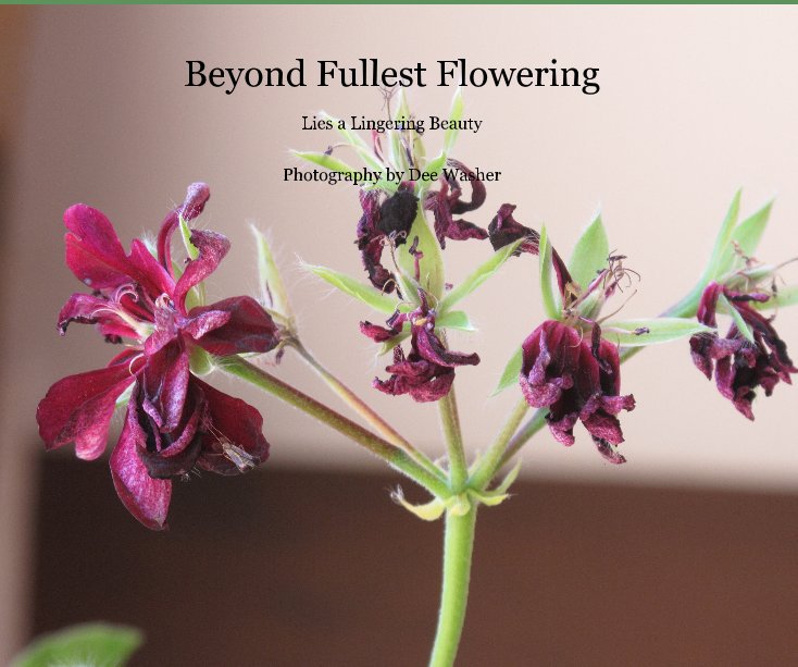 Bekijk Beyond Fullest Flowering op Photography by Dee Washer