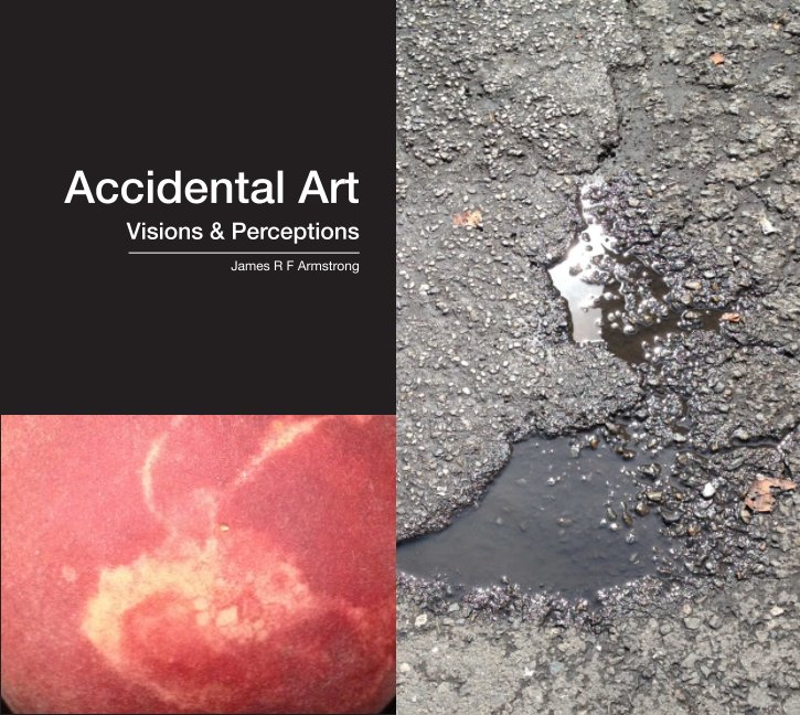 Visualizza Accidental Art Vol3 di James Armstrong
