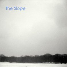The Slope book cover