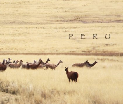 Peru 2008 book cover