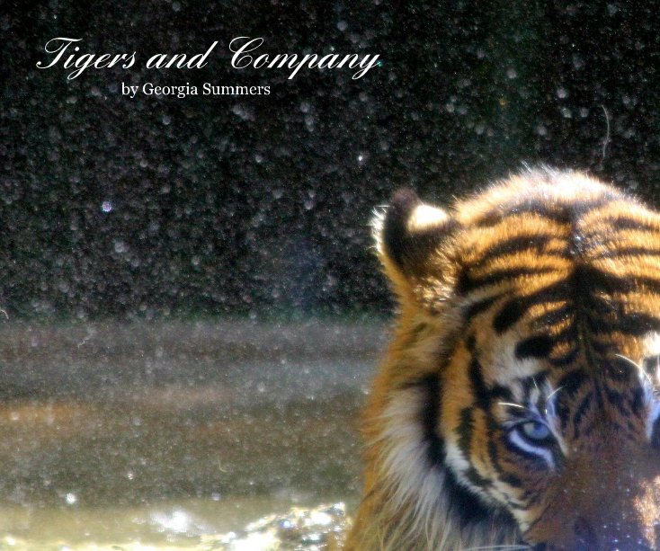 View Tigers and Company by Georgia Summers