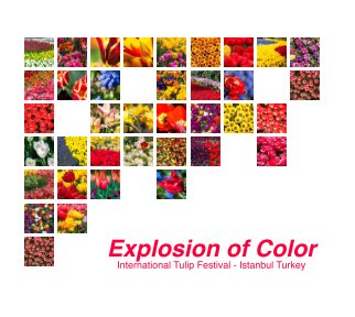 Explosion of Color book cover