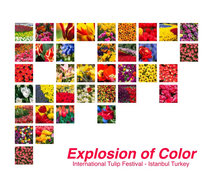 Ver Explosion of Color por Jeffrey D Sutton