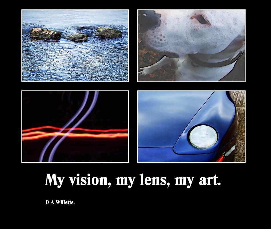 View My vision, my lens, my art. by D A Willetts.