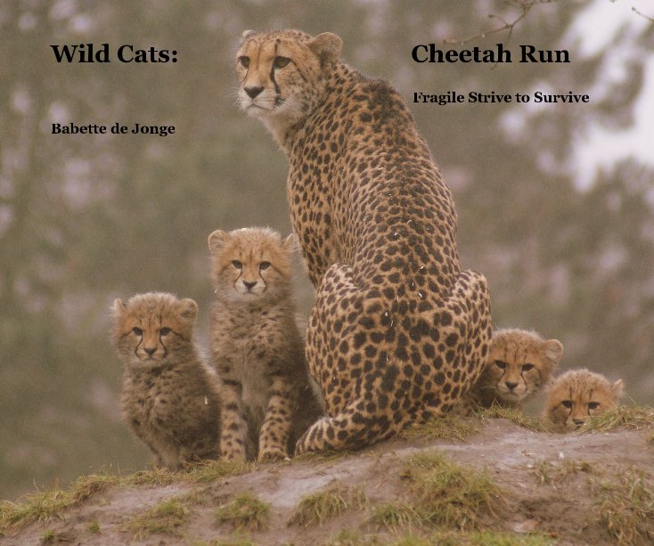 View Wild Cats: Cheetah Run by Babette de Jonge