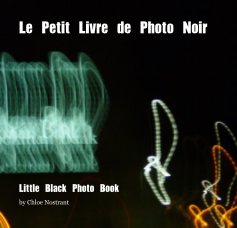 Le Petit Livre de Photo Noir book cover