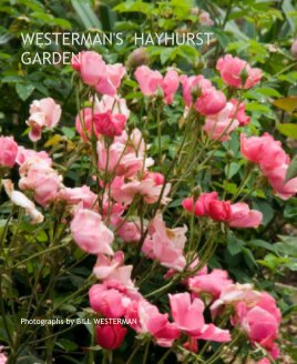 WESTERMAN'S  HAYHURST GARDEN book cover