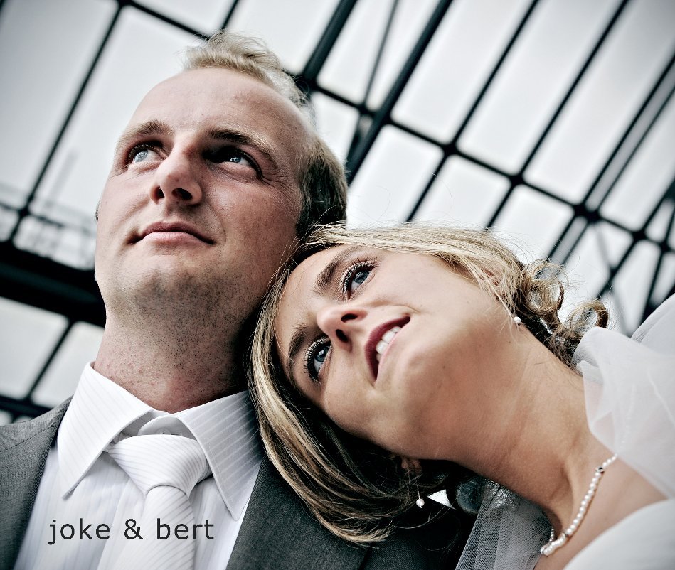 View Joke & Bert by Dirk Waem