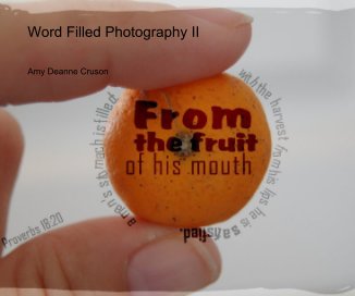 Word Filled Photography II book cover