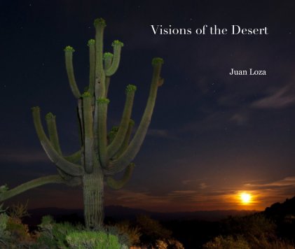 Visions of the Desert book cover