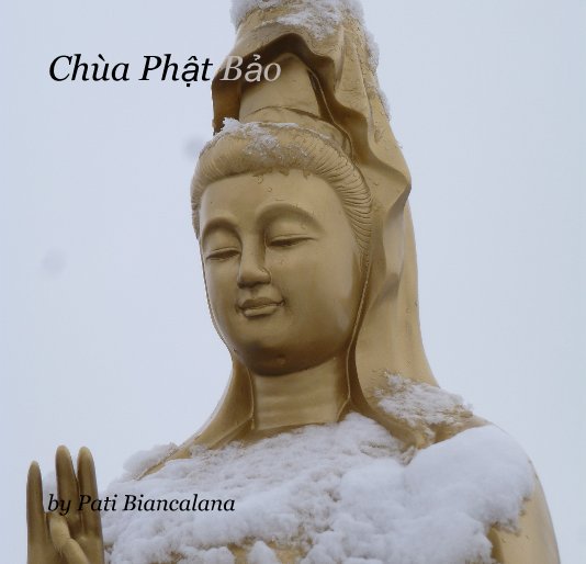 View Chùa Phật Bảo by Pati Biancalana