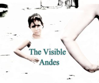 The Visible Andes book cover