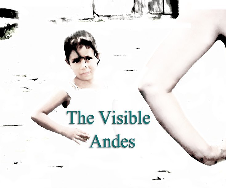 Visualizza The Visible Andes di Joe Nalven