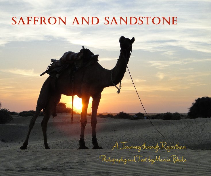View Saffron and Sandstone by Photography and Text by Marcia Bhide