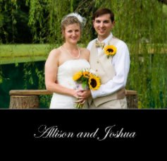 Allison and Joshua book cover