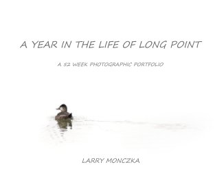 A YEAR IN THE LIFE OF LONG POINT book cover