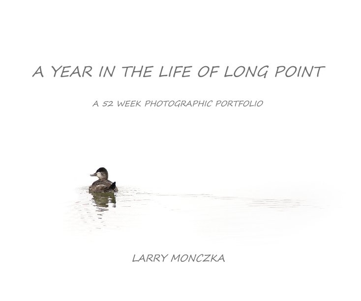 Ver A YEAR IN THE LIFE OF LONG POINT por LARRY MONCZKA