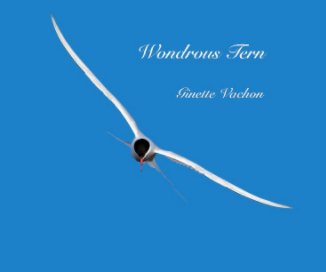 Wondrous Tern book cover
