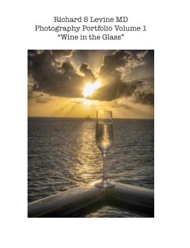 Richard Levine's Total Wine V1 book cover